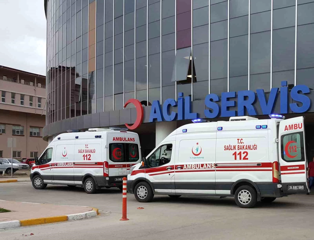 Erzincan’da kamyona çarpan otomobilde 2 kişi hayatını kaybetti