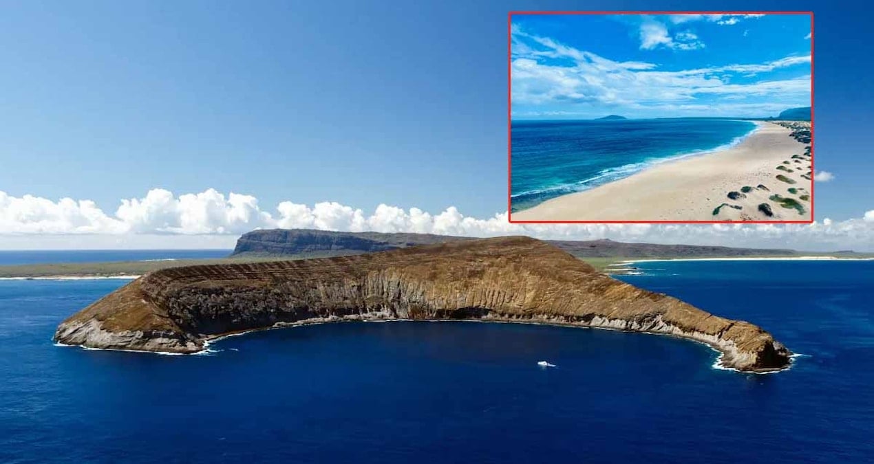 turistler giremiyor yasayanlar ise kira odemiyor yasakli ada adeta bir siginak ama tek bir sart var imVUSCaj