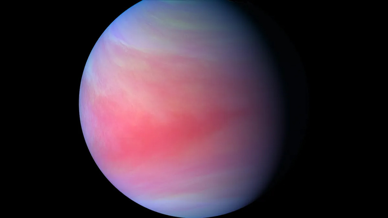 venusun tek sakini akatsuki icin yolun sonu geldi bVR34Qqc