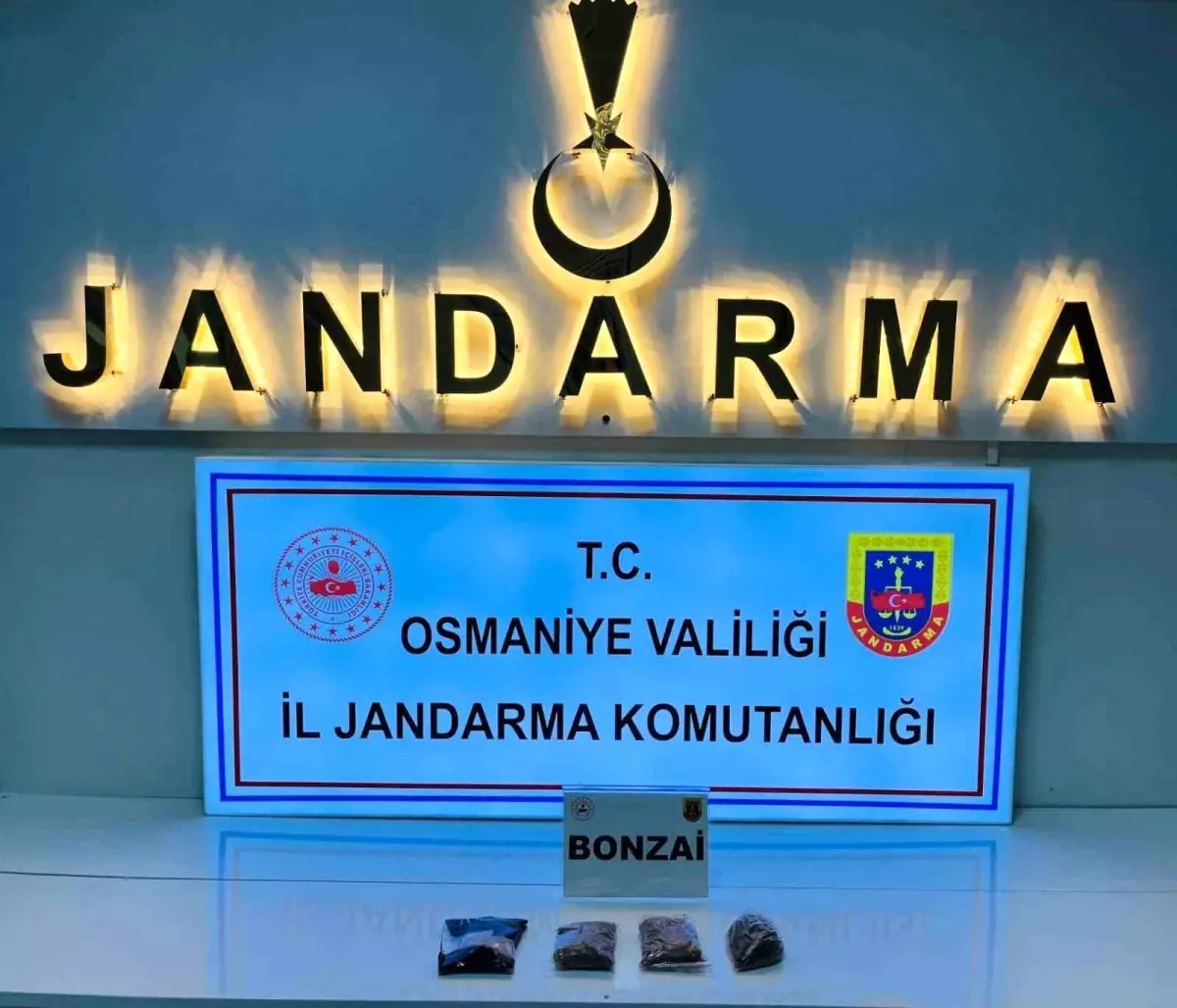 osmaniyede jandarmadan buyuk operasyon 124 supheli gozaltina alindi TZnSfkpq.jpg