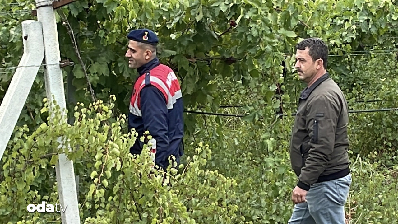 sakaryada uzum ureticileri ve jandarmadan mahsul nobeti zHruOn3Y.jpg