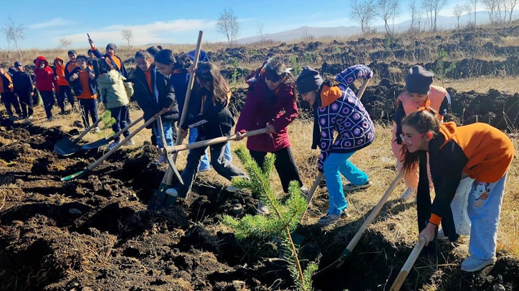 ataturku anma gununde fidan dikim etkinlikleri yapilacak WwOQ61x1.jpg
