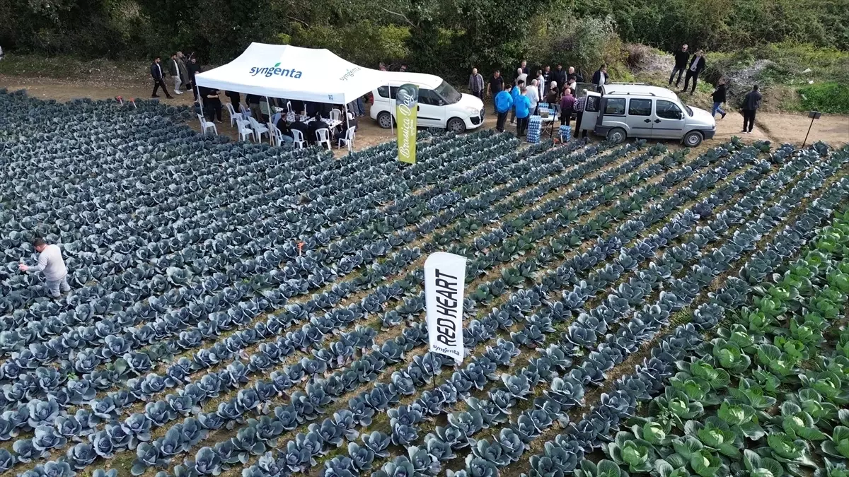 bafrada tarla gunu etkinligi 7Jwe2fQx.jpg