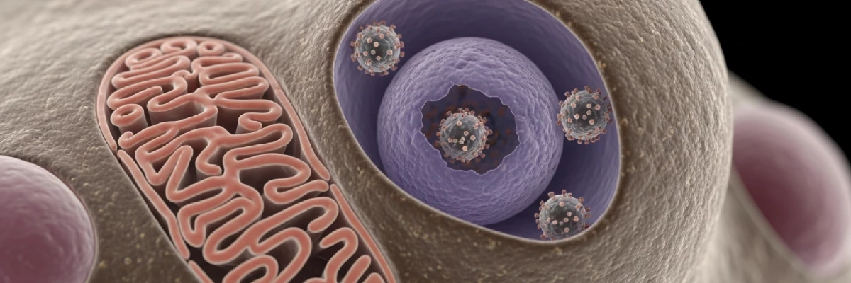 HPV Hakkında Bilmeniz Gerekenler